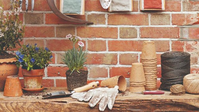 This genius hack quadruples space for growing seedlings