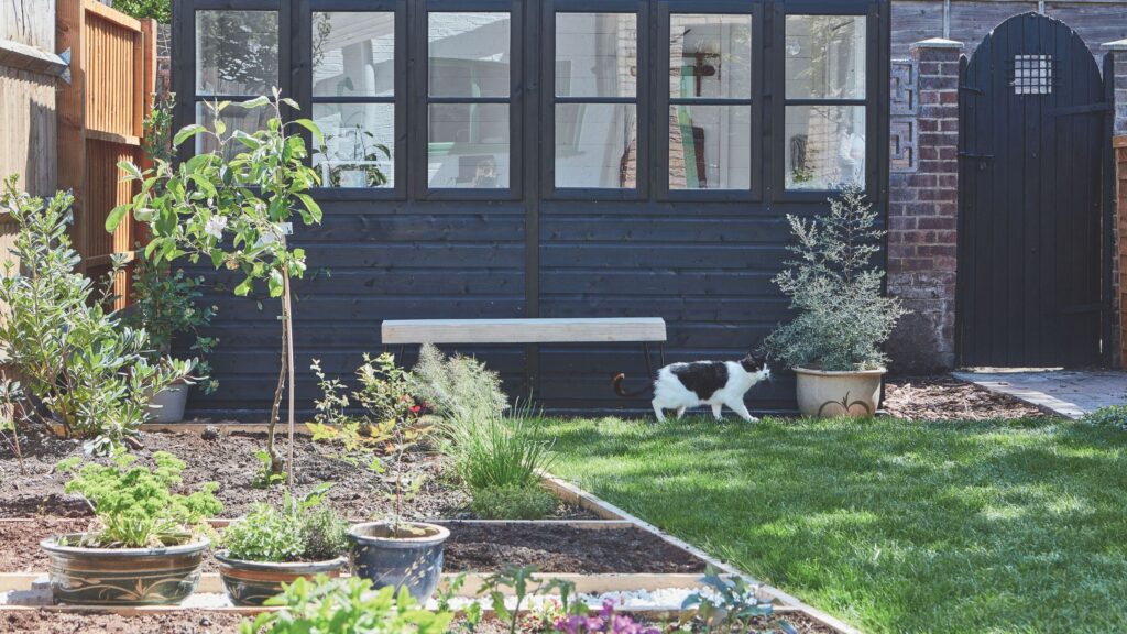 How I’m protecting birds from cats in my garden gently