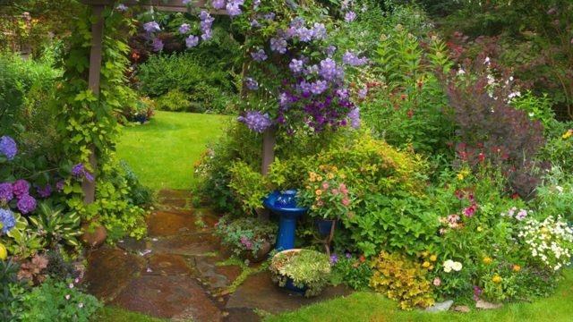 1 garden job you must do every day in July to support birds
