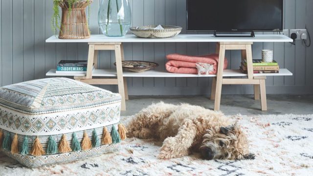 Morris & Co is selling the most stylish pet beds