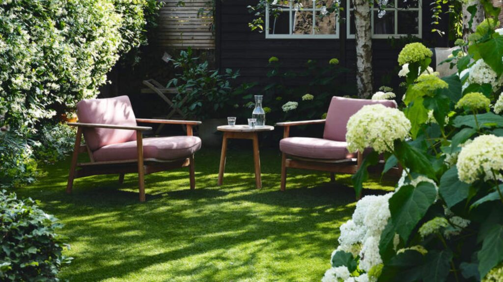 What to do with hydrangeas in May – 4 tasks for more blooms