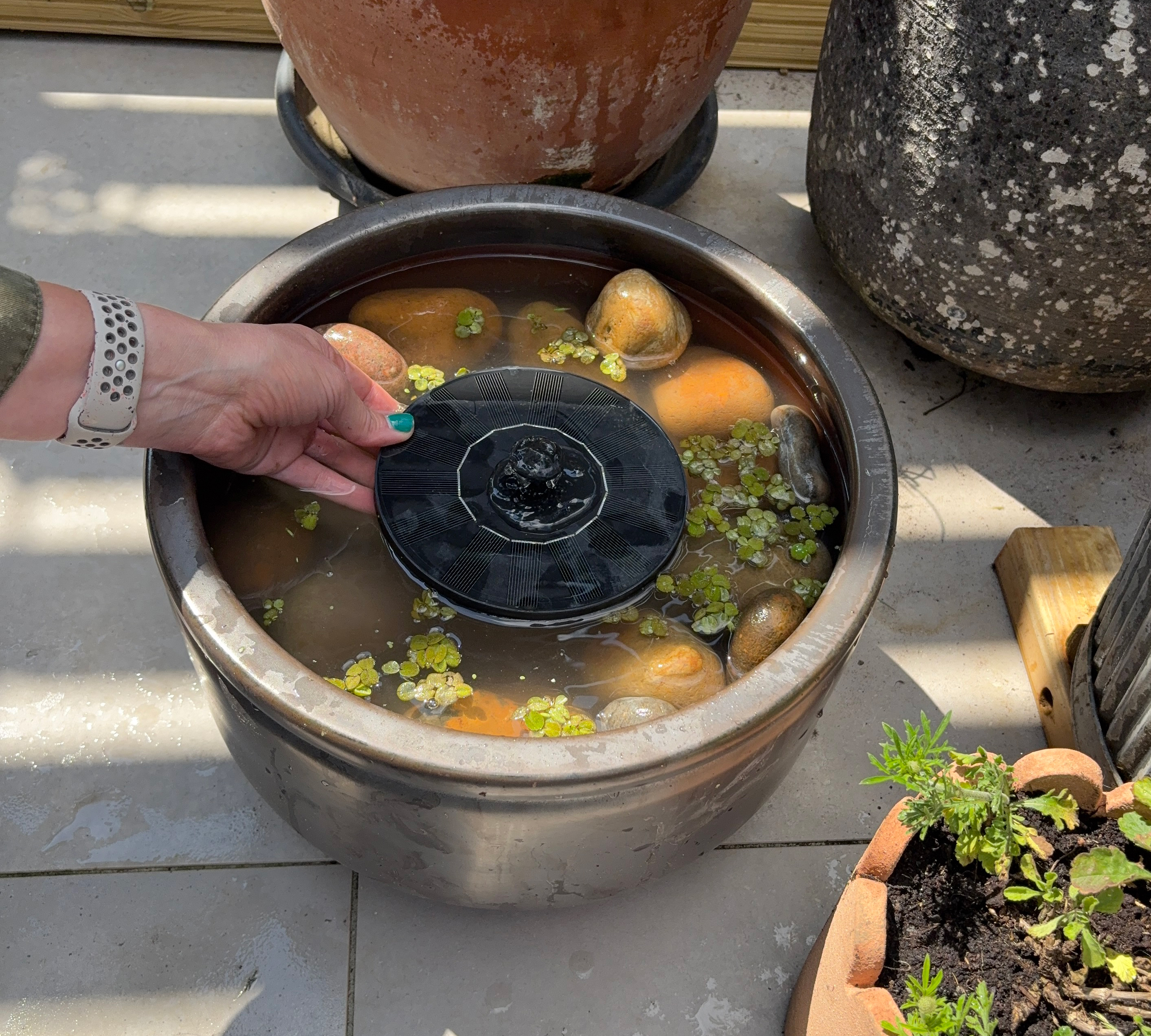 Ceramic planter filled with pebbles, water and pond plants with hand placing a solar water fountain on the water
