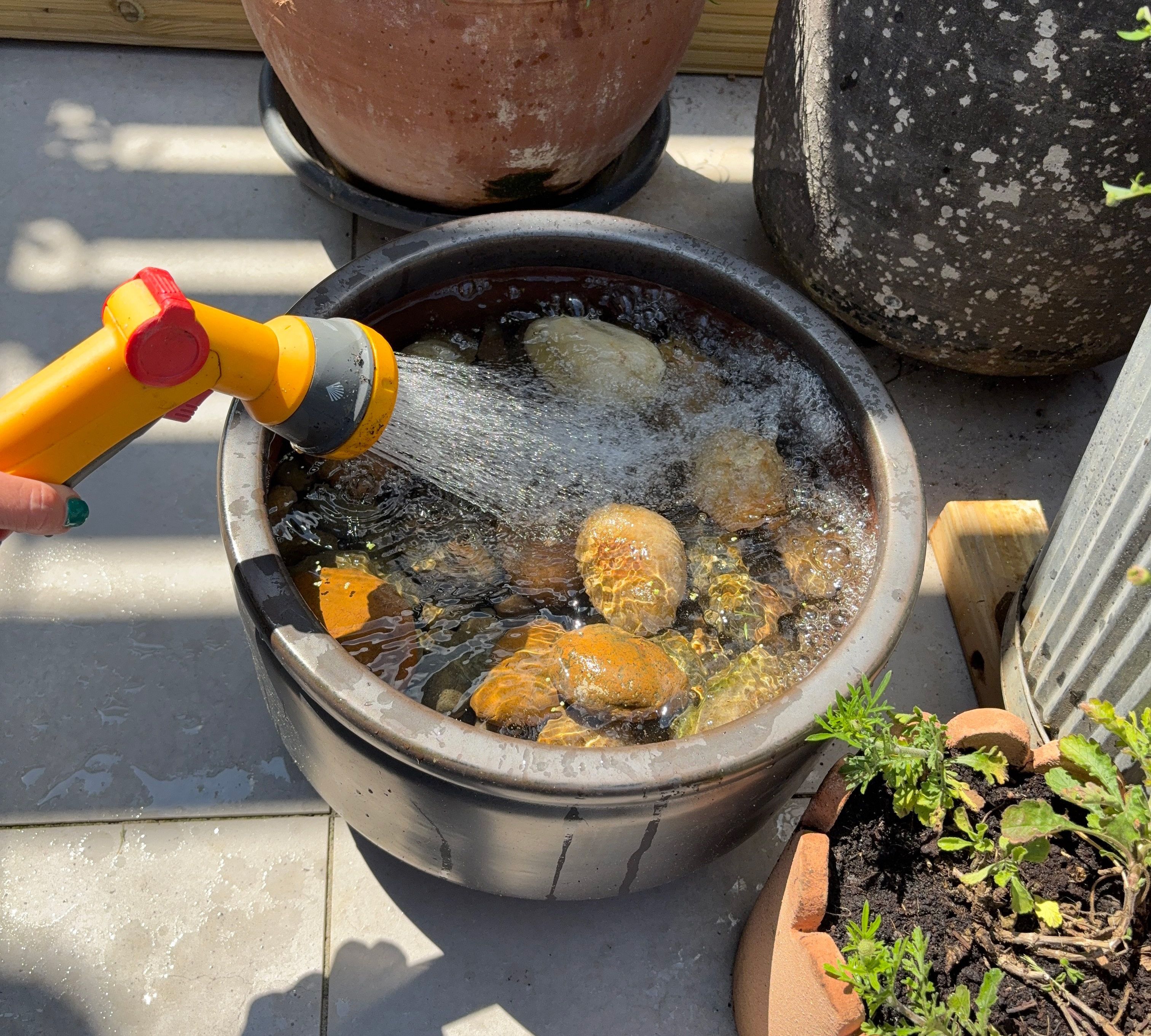 Grey ceramic planter on grey paved patio with hose spray filling it with water