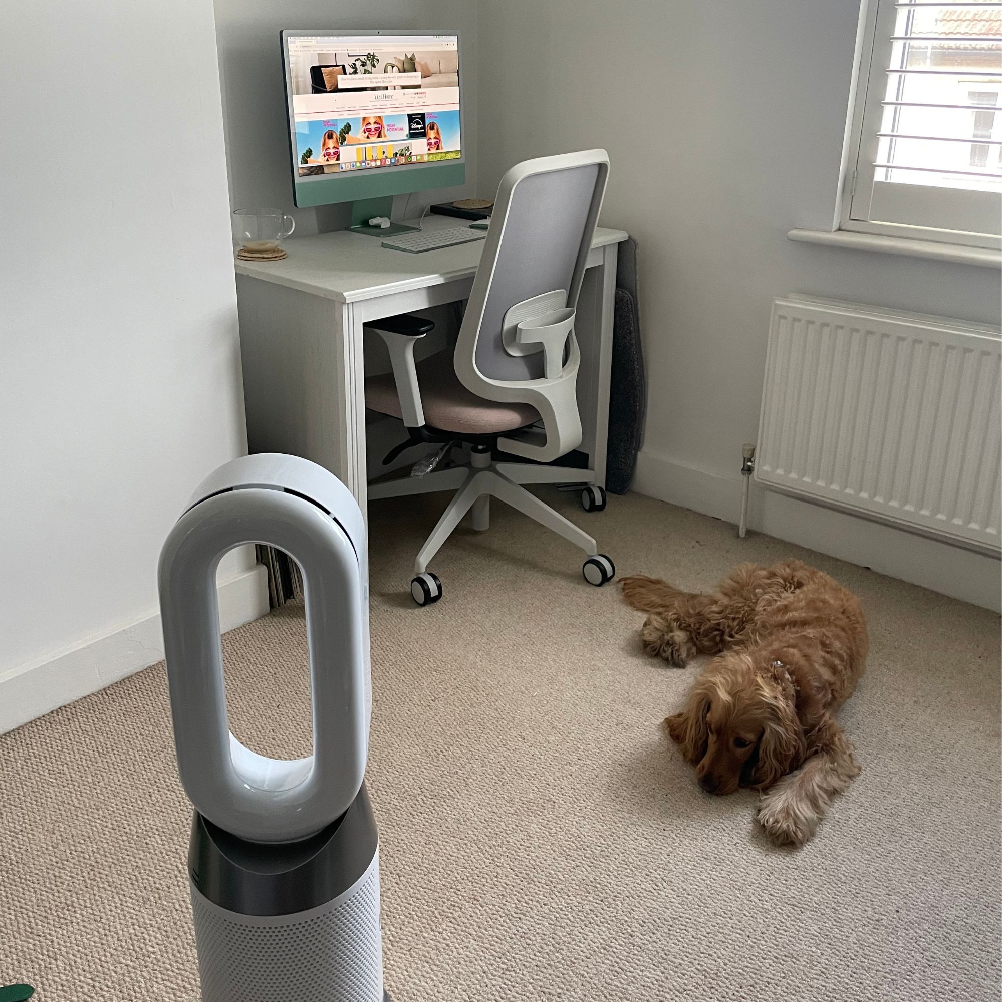 Dyson Purifier Hot+Cool HP1 Purifying Fan Heater in a home office, with a dog sitting in front of it