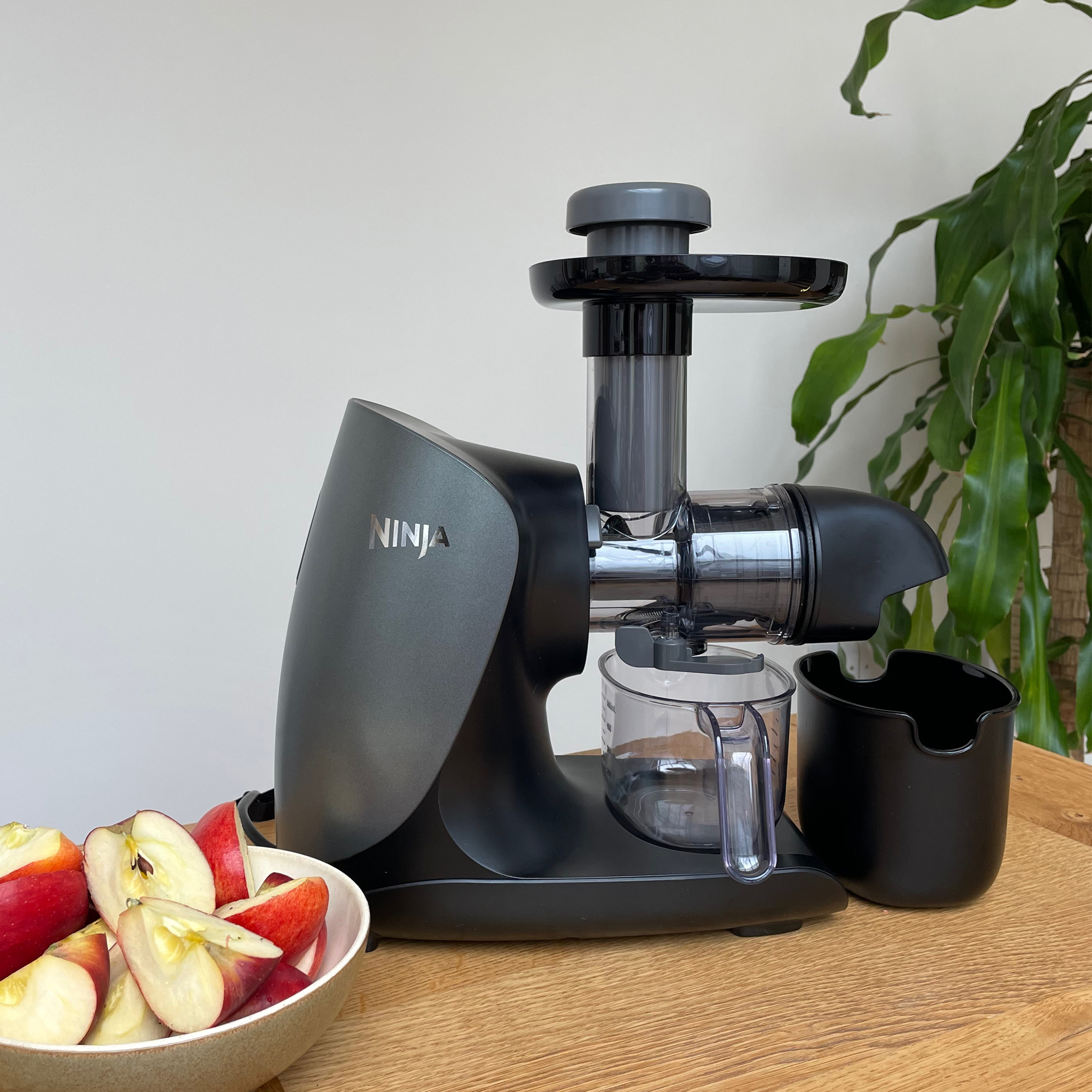 Image of juicer tested at home