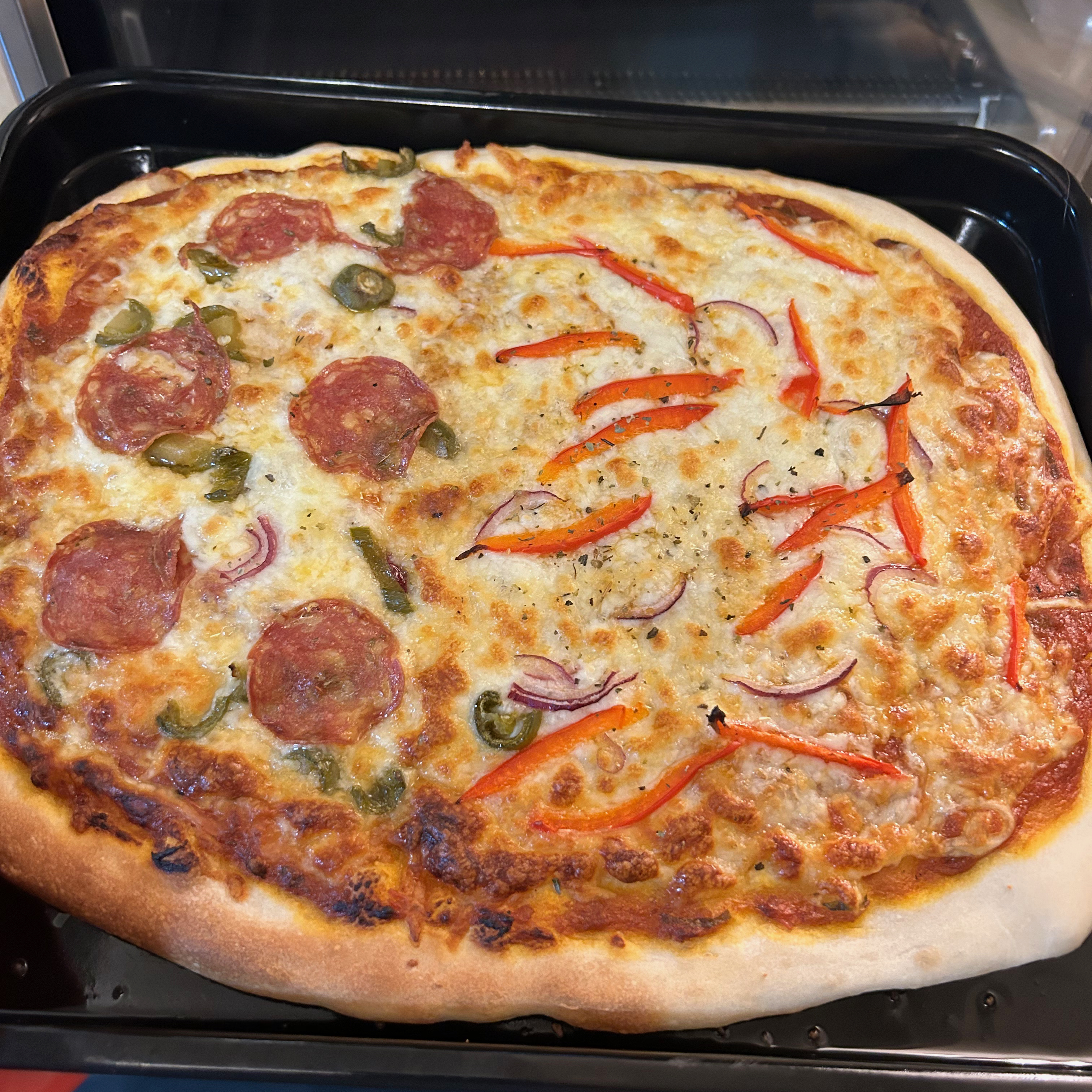Testing the Ninja Multifunction Oven