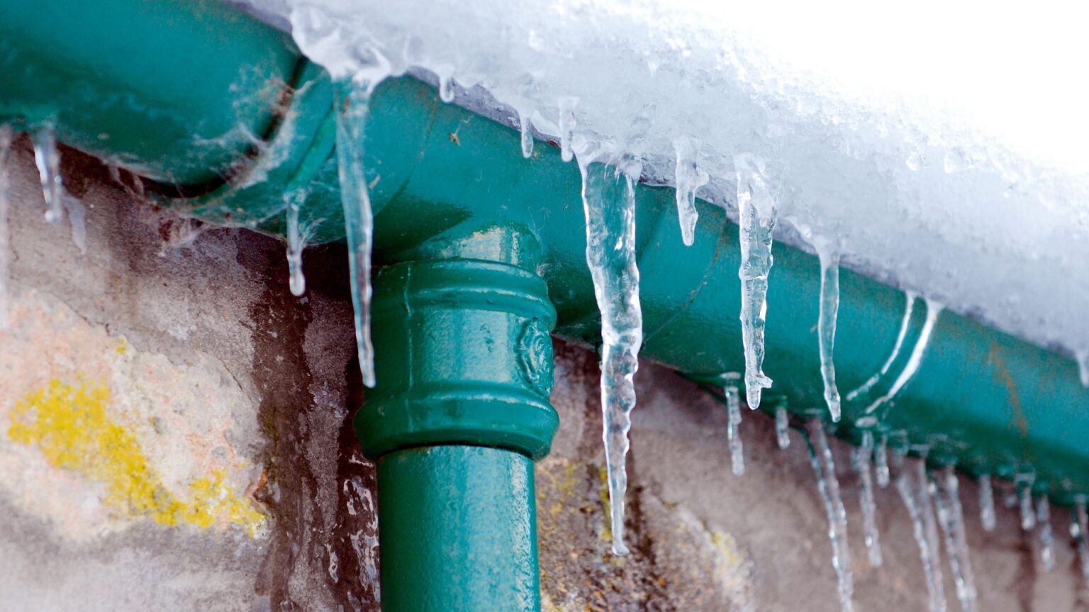 Homeowners warned to do this crucial task before first frost