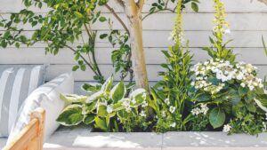 Why gardeners are using frost fleece in the summer