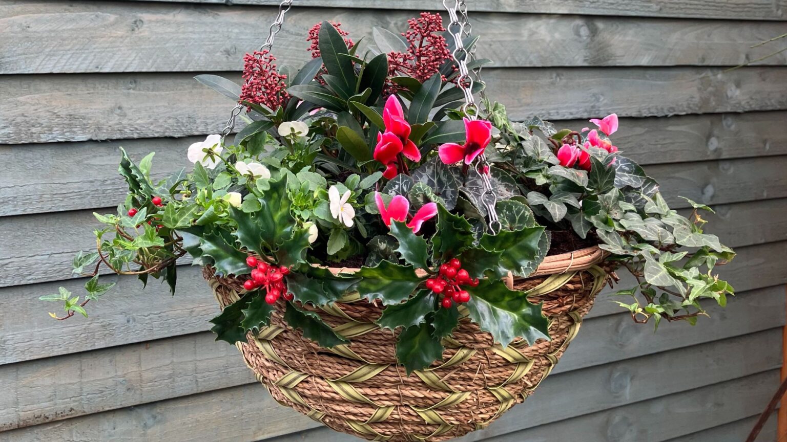 I made a Christmas hanging basket for an easy outdoor upgrade