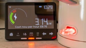 Octopus Energy urges people to cut energy use during eclipse