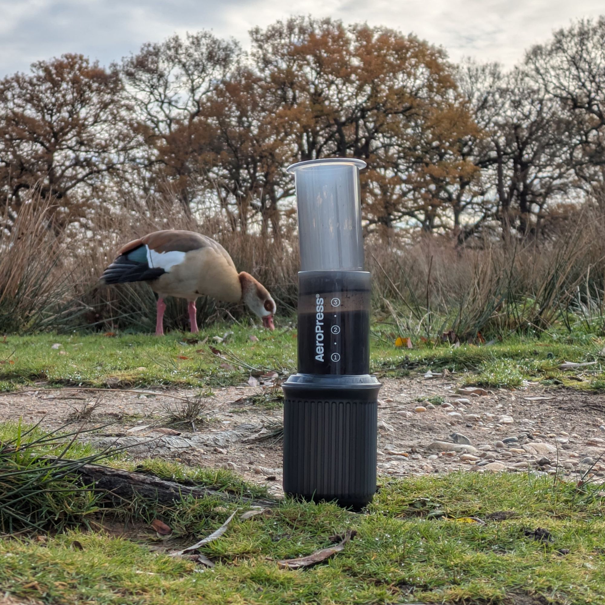 The Aeropress Go brewing coffee