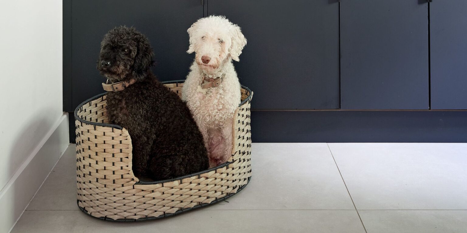 Lidl is selling the cutest Cath Kidston pet beds