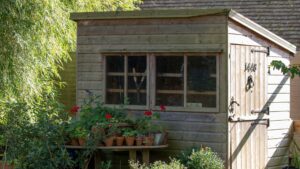 Why I’m using wool to water my plants less