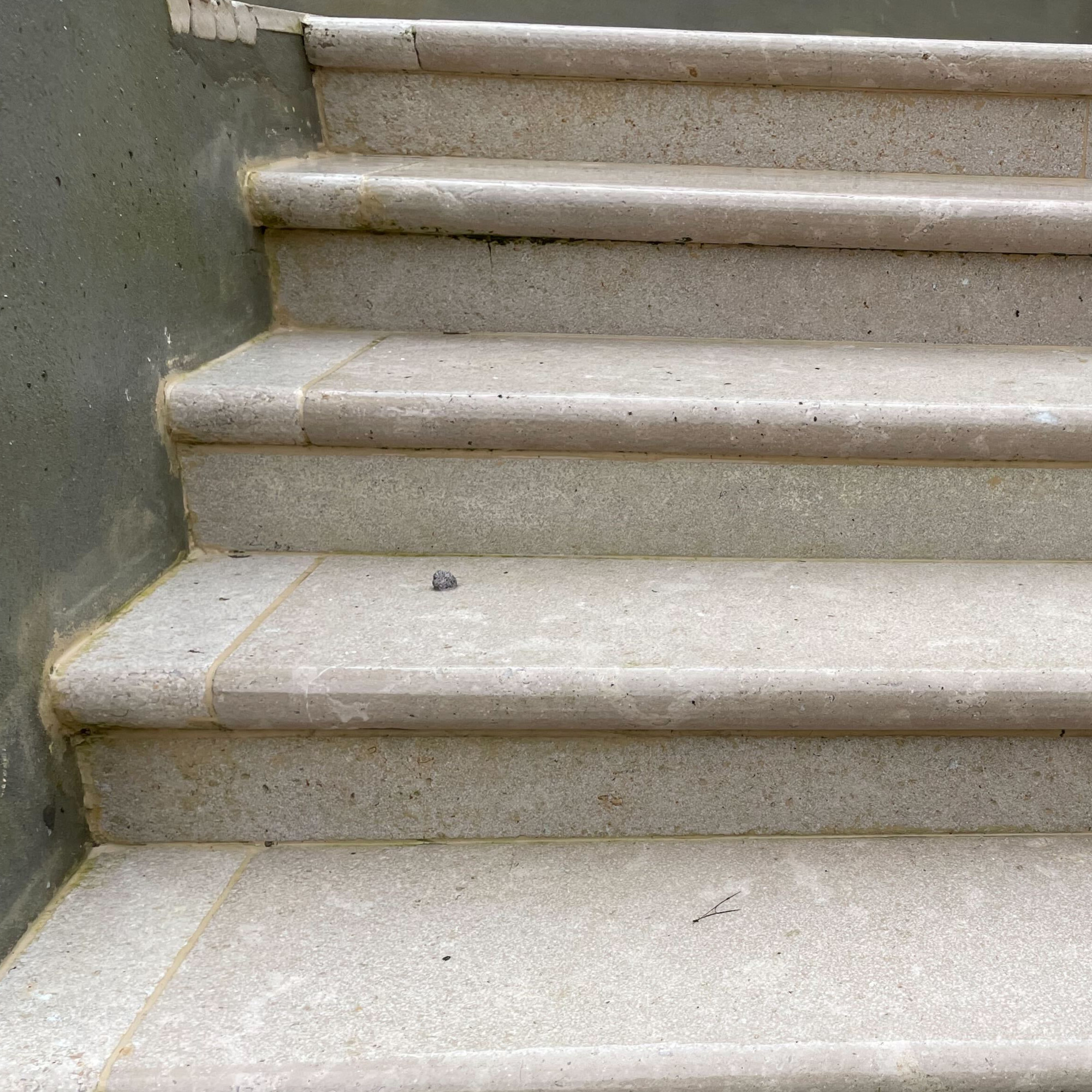 patio steps after being cleaned