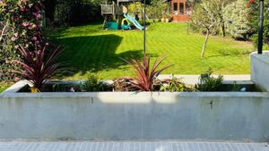 I used hugelkultur accidentally and saved money on soil