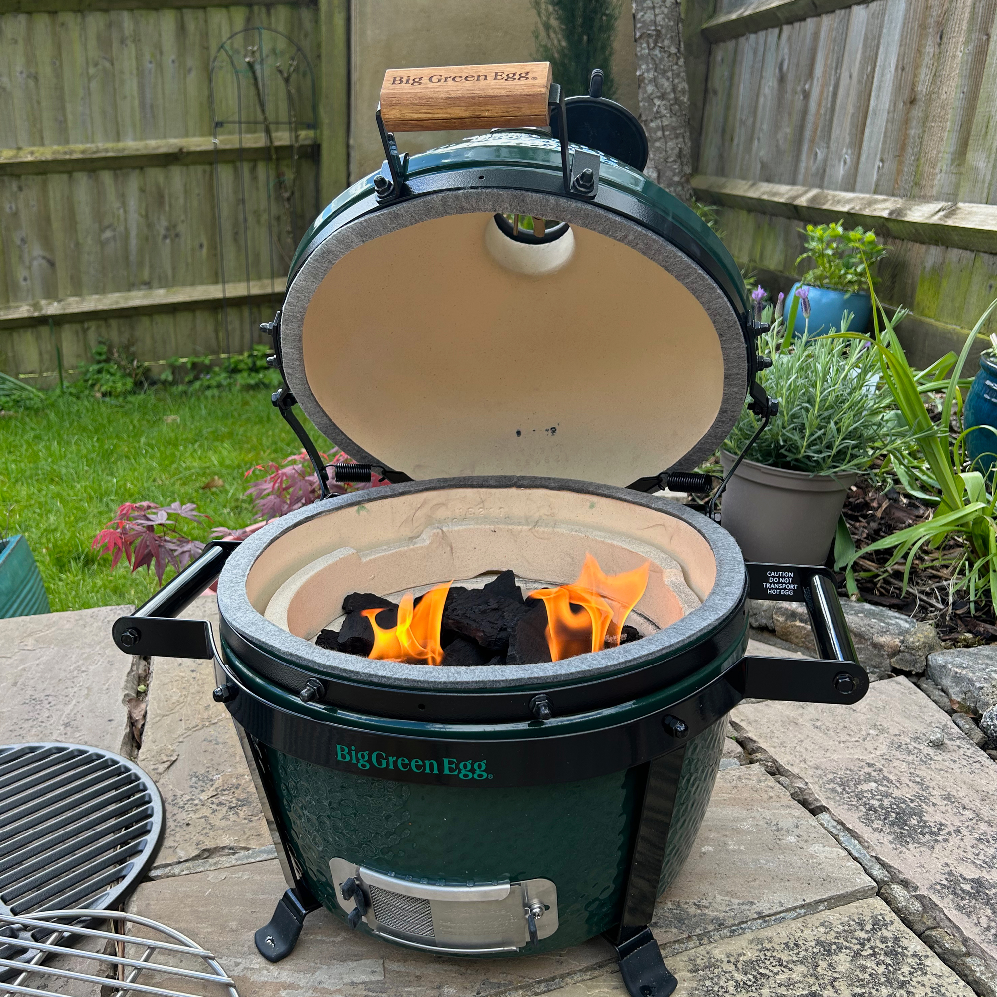 Testing of the Big Green Egg at home 