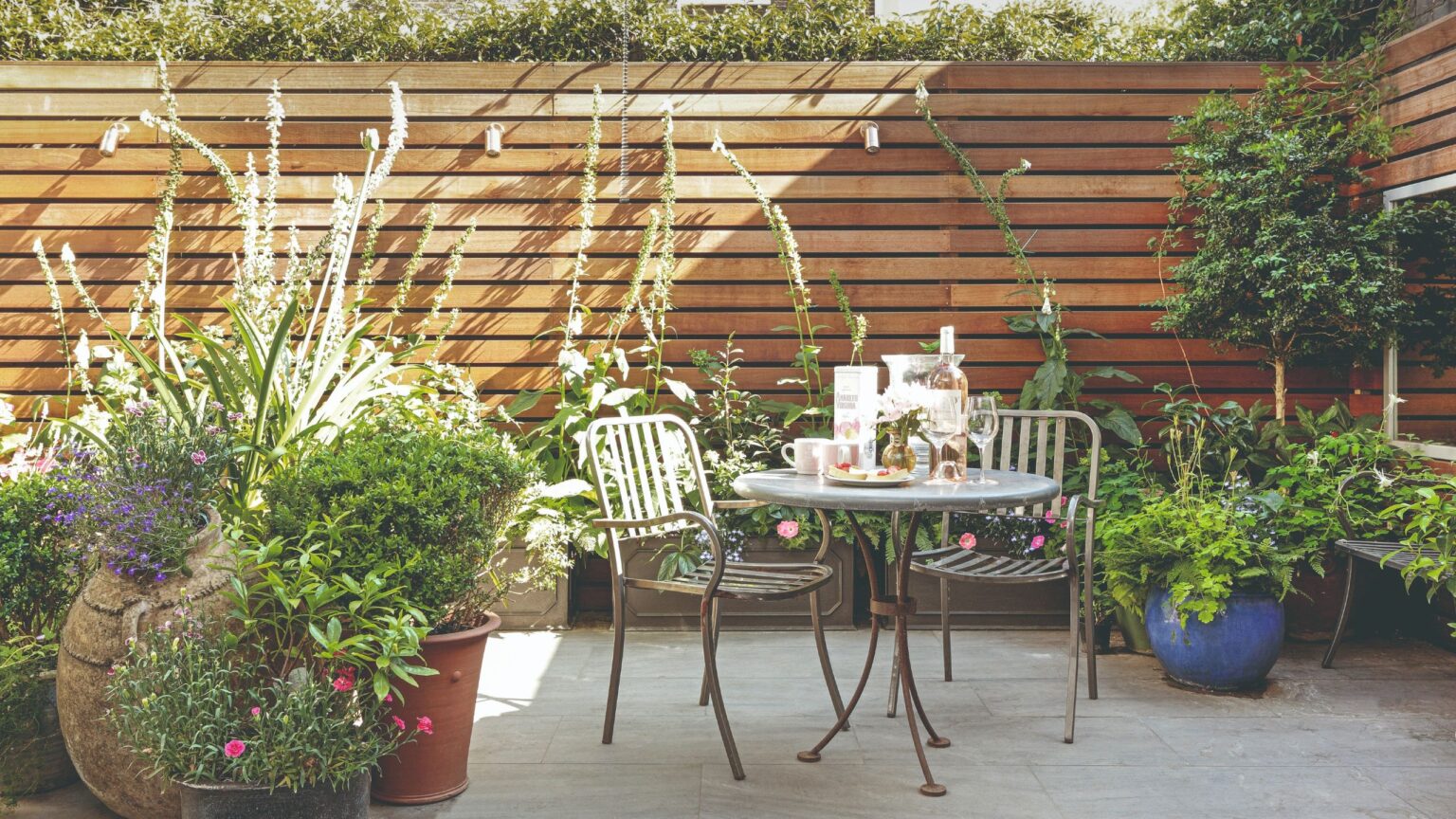 Best flowering plants to add privacy and screen your garden