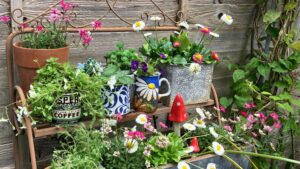 7 ways I’m reusing broken crockery and pots in the garden