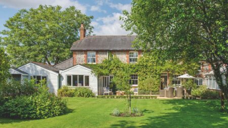 Can you ask your neighbour to cut down a tall tree?