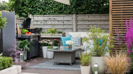 7 things people with cool gardens in a heatwave always have