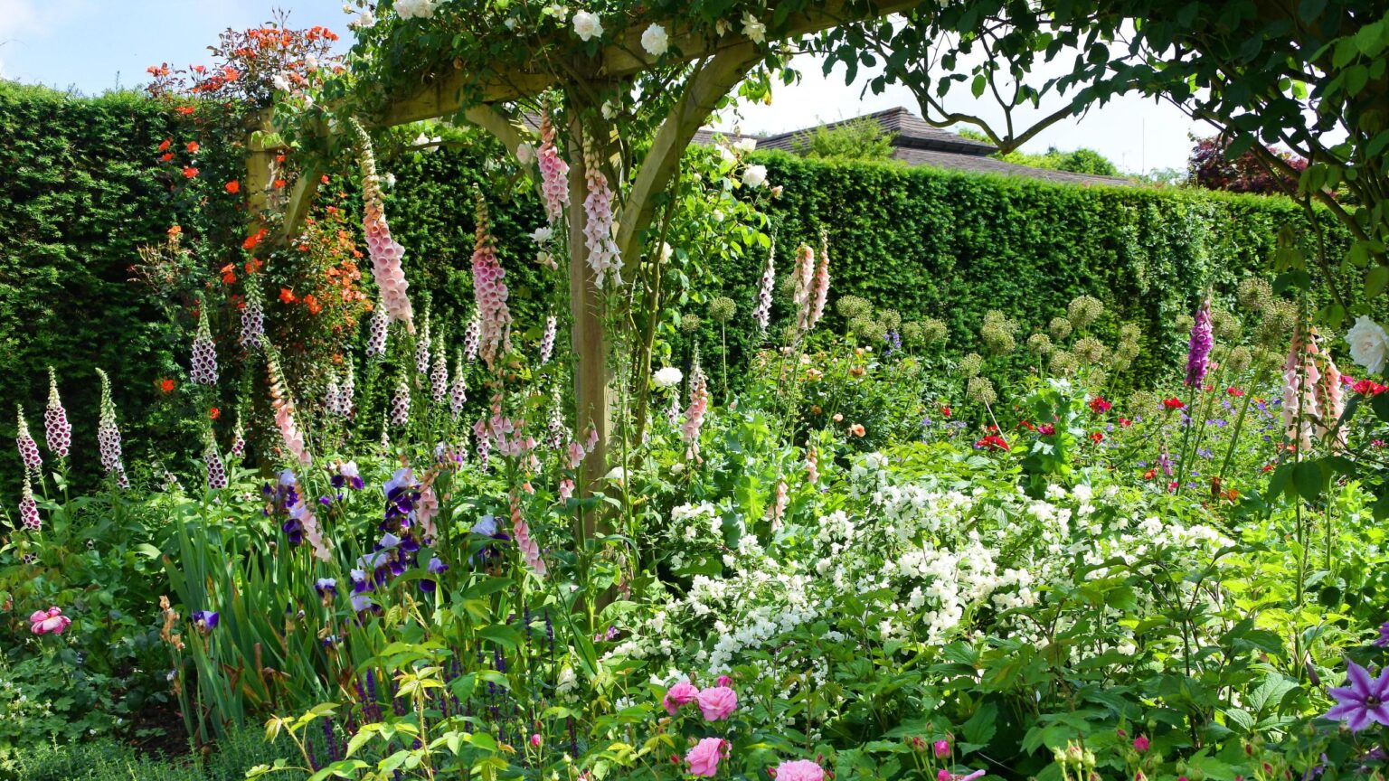 How to use orange peel in your garden – 5 clever ways