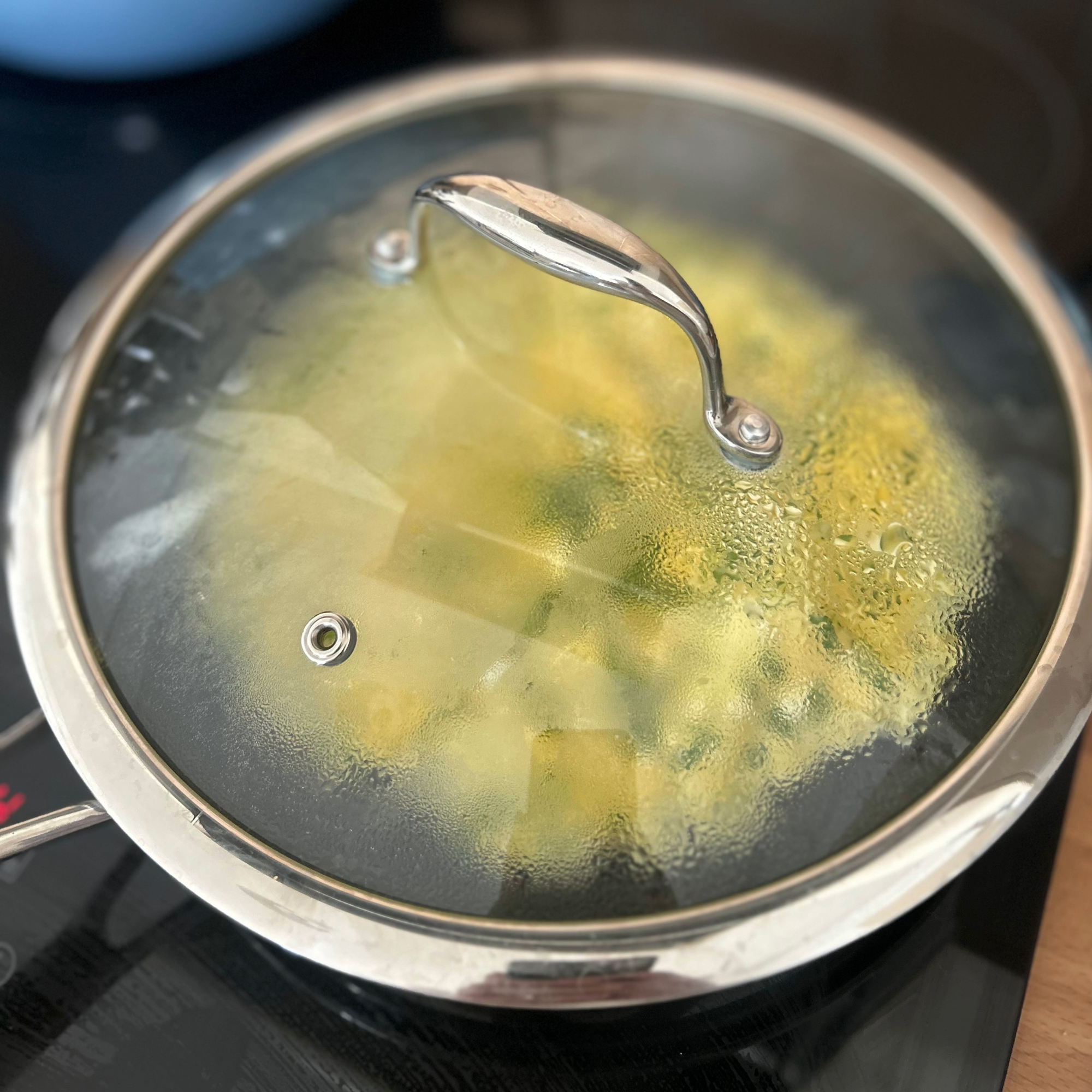 Testing HexClad's frying pan