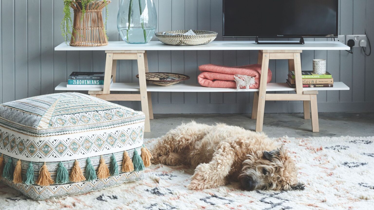 How to keep a clean house with pets – tackle muddy pawprints and hair
