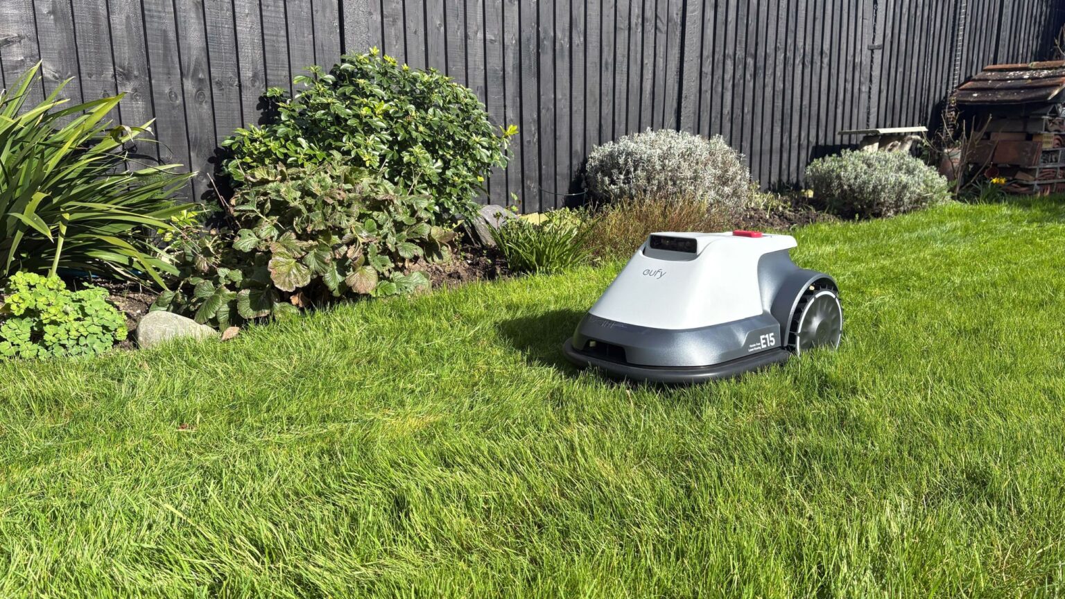 How short should you cut your grass in a heatwave?