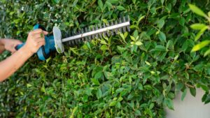 The 7 garden habits that annoy neighbours the most