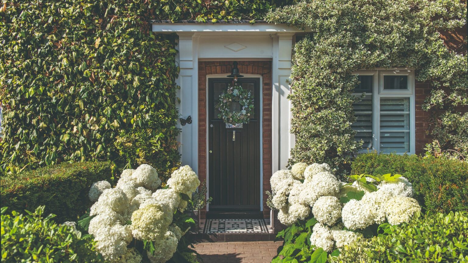 5 drought-tolerant plants replacing hydrangeas in 2026