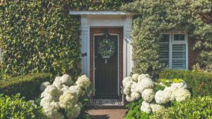 5 drought-tolerant plants replacing hydrangeas in 2026