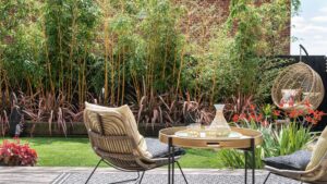 How to plan the perfect garden on a small budget