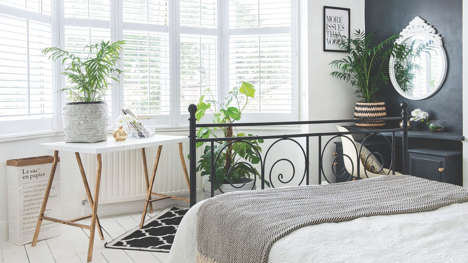 5 houseplants that thrive on hot, south-facing windowsills