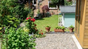 Should I get rid of my lawn? The pros and cons