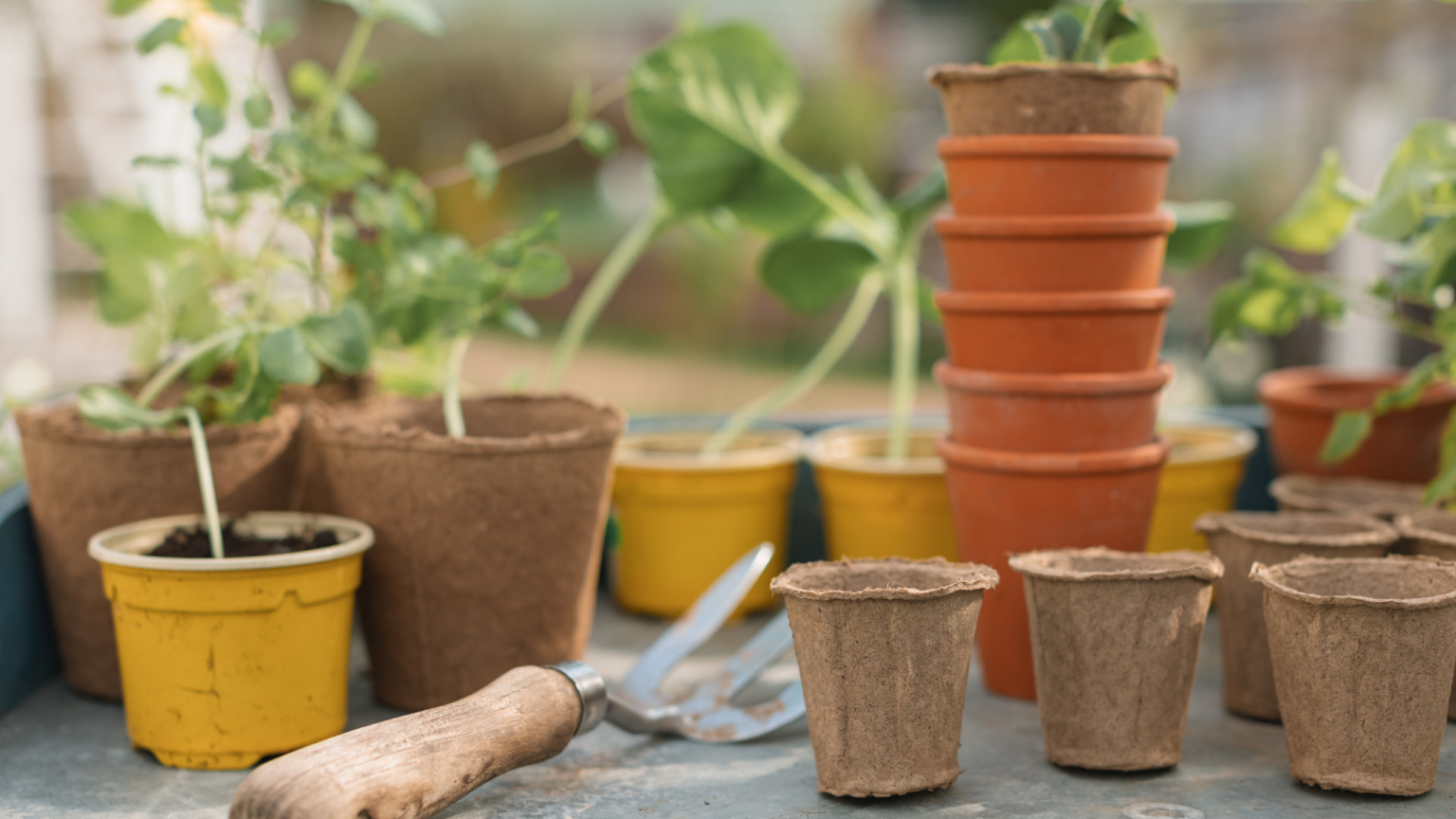 How to resuse plastic plant pots to display cut flowers