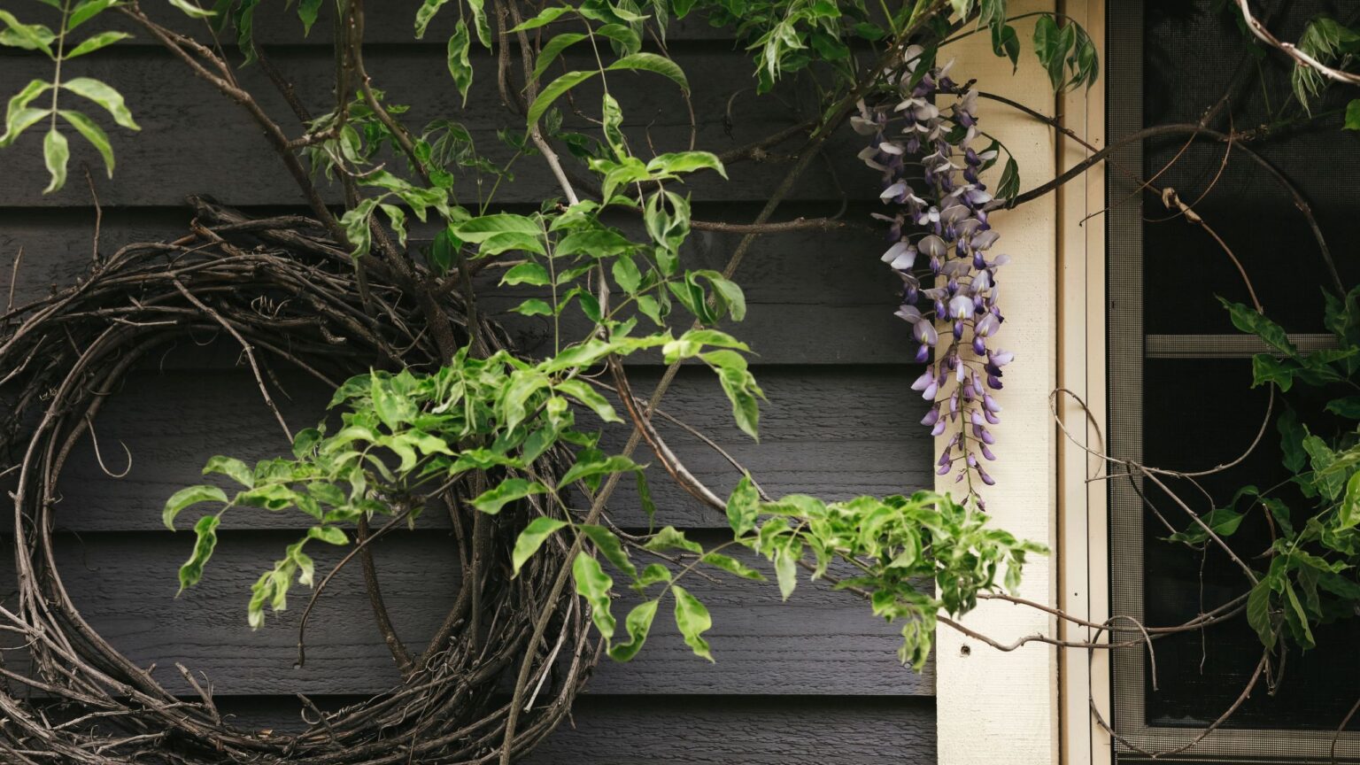 David Domoney is using his prunings to make a natural wreath