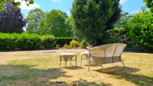 3 things to do to your lawn before it rains