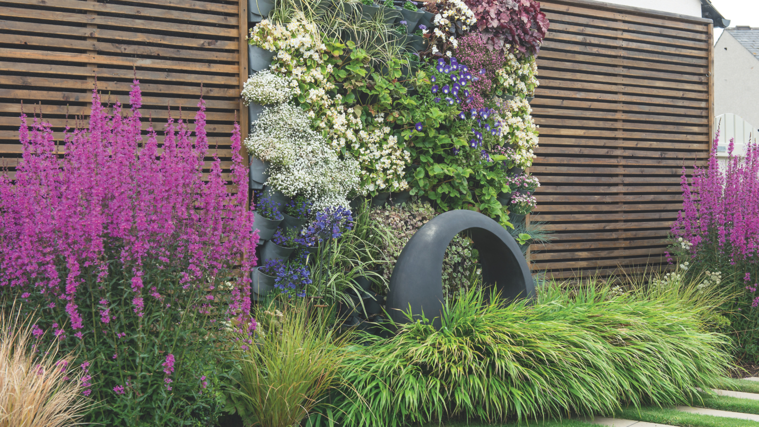 5 ornamental grasses that add colour to autumn gardens