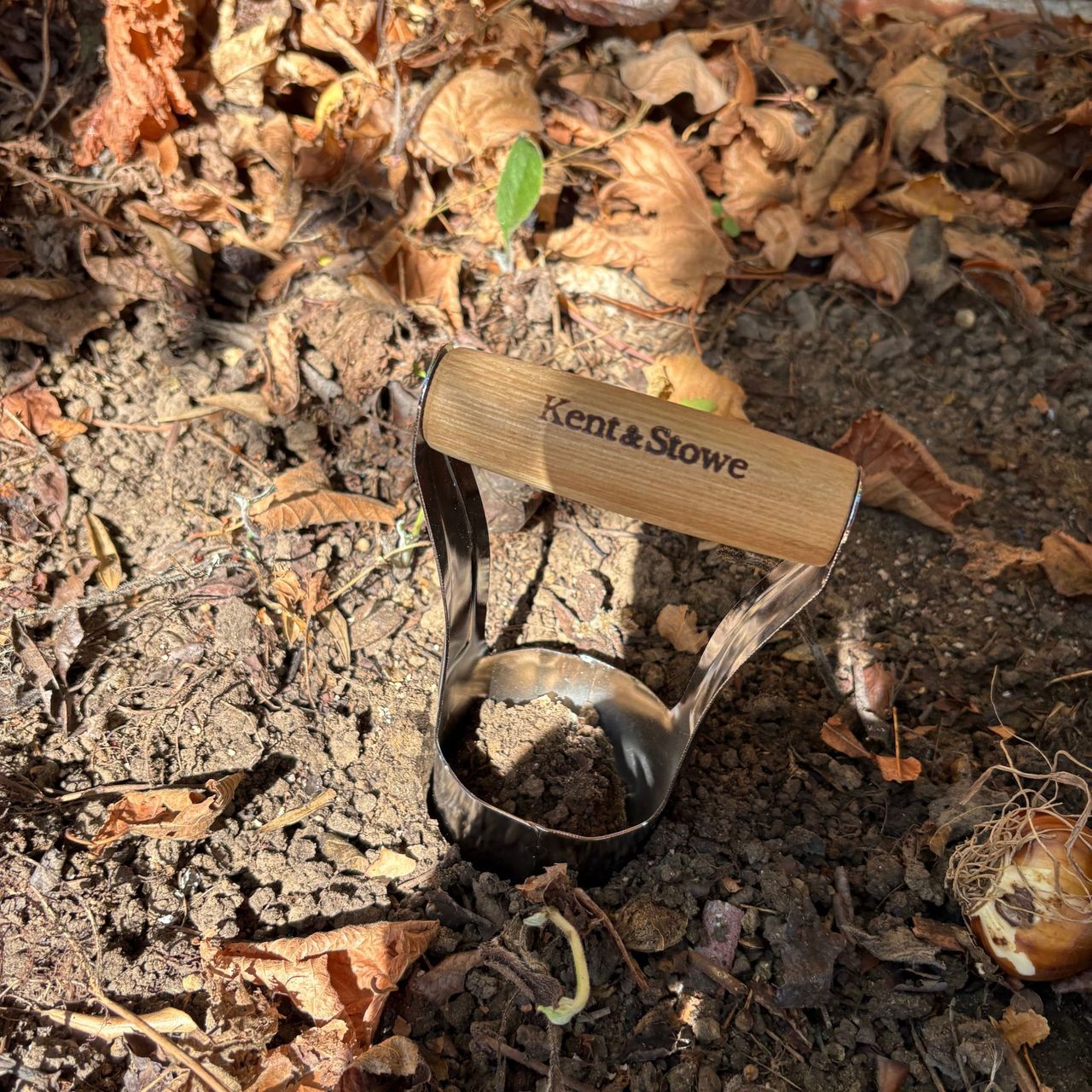 Kent & Stowe Hand Bulb Planter in soil