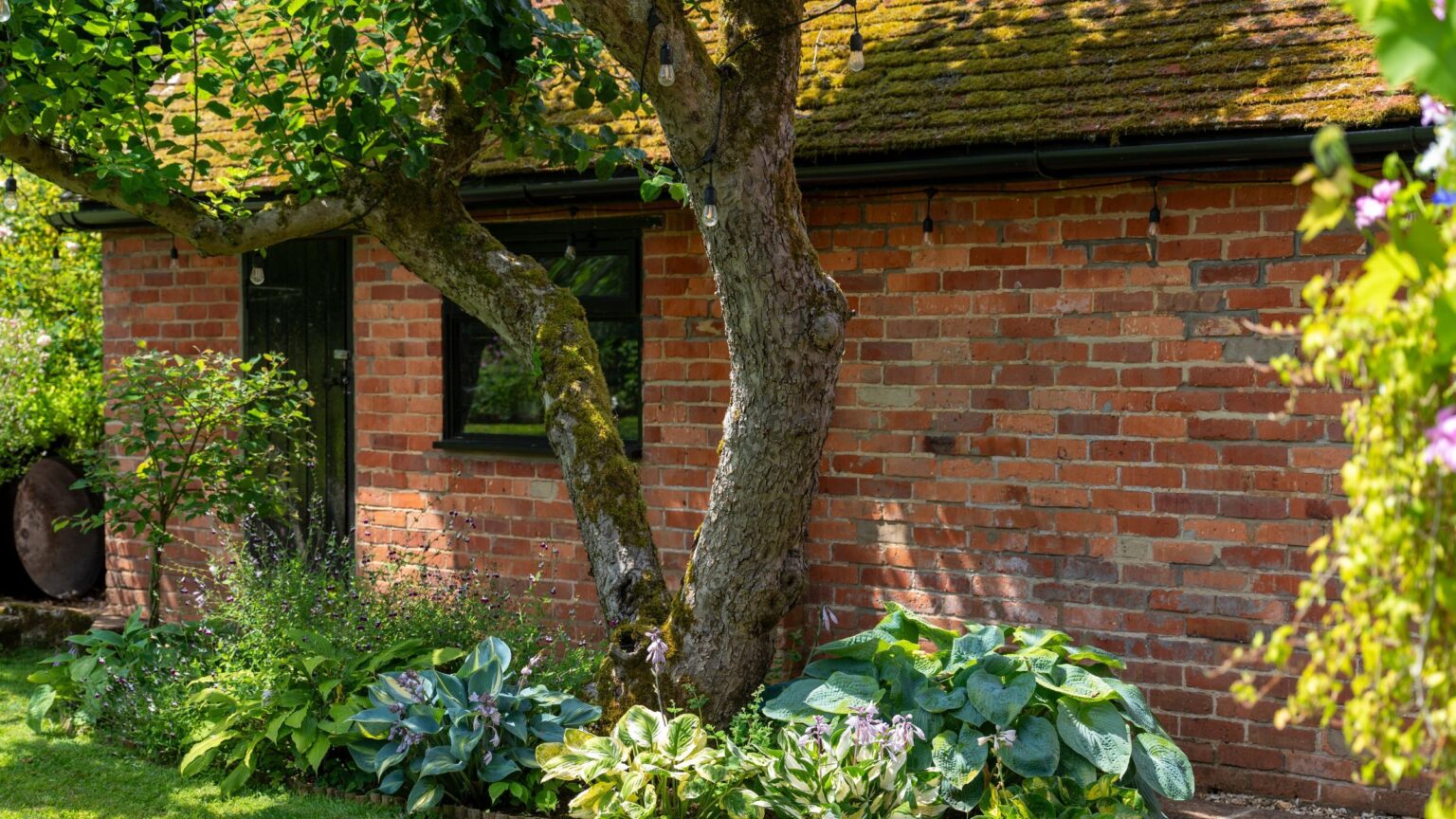 Can my neighbour cut down my tree?