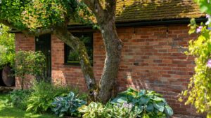 Can my neighbour cut down my tree?